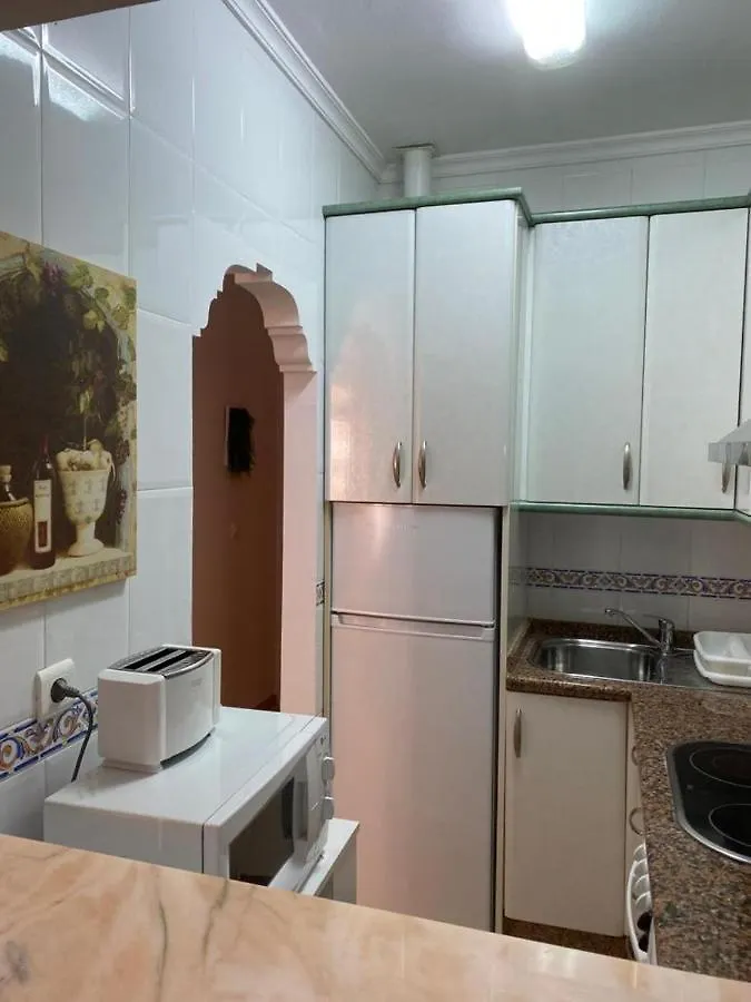 Апартаменты Acogedor Apartamento Playa Torrecilla Нерха
